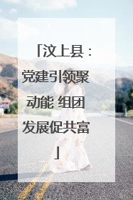 汶上县：党建引领聚动能 组团发展促共富