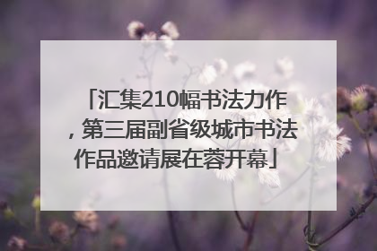 汇集210幅书法力作，第三届副省级城市书法作品邀请展在蓉开幕