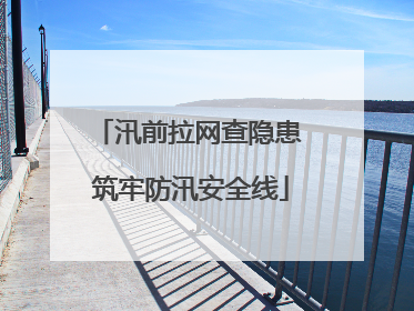 汛前拉网查隐患 筑牢防汛安全线