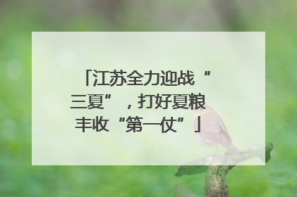 江苏全力迎战“三夏”，打好夏粮丰收“第一仗”