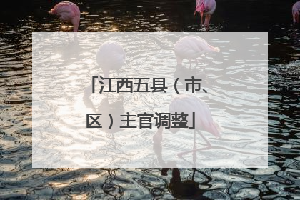 江西五县（市、区）主官调整