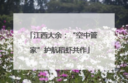 江西大余：“空中管家”护航稻虾共作