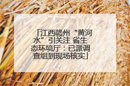 江西赣州“黄河水”引关注 省生态环境厅：已派调查组到现场核实