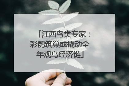 江西鸟类专家：彩鹮筑巢或撬动全年观鸟经济链
