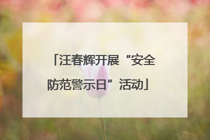 汪春辉开展“安全防范警示日”活动