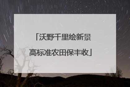 沃野千里绘新景 高标准农田保丰收