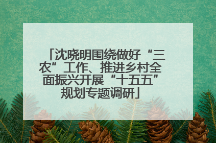 沈晓明围绕做好“三农”工作、推进乡村全面振兴开展“十五五”规划专题调研