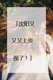 沈阳又又又上央视了！