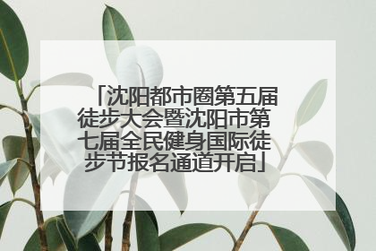 沈阳都市圈第五届徒步大会暨沈阳市第七届全民健身国际徒步节报名通道开启