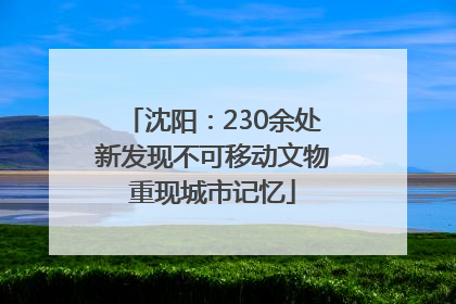 沈阳：230余处新发现不可移动文物重现城市记忆