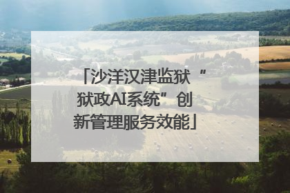 沙洋汉津监狱“狱政AI系统”创新管理服务效能