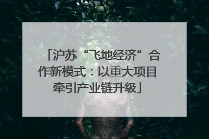 沪苏“飞地经济”合作新模式：以重大项目牵引产业链升级