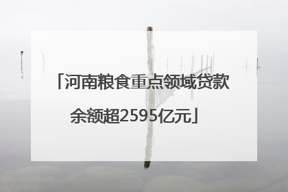 河南粮食重点领域贷款余额超2595亿元