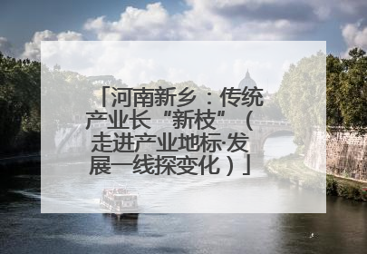河南新乡：传统产业长“新枝”（走进产业地标·发展一线探变化）