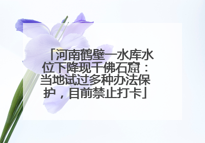 河南鹤壁一水库水位下降现千佛石窟：当地试过多种办法保护，目前禁止打卡