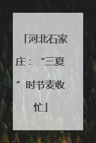 河北石家庄：“三夏”时节麦收忙