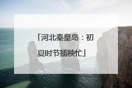 河北秦皇岛：初夏时节插秧忙