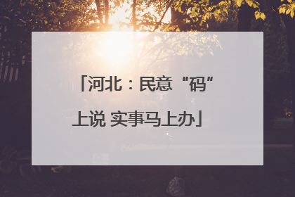 河北：民意“码”上说 实事马上办