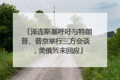 泽连斯基呼吁与特朗普、普京举行三方会谈，美俄暂未回应