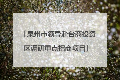 泉州市领导赴台商投资区调研重点招商项目