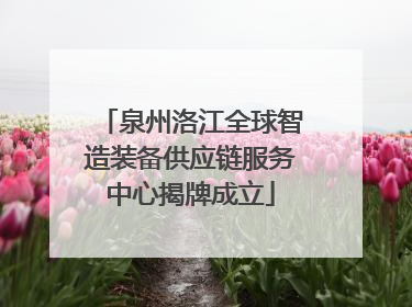 泉州洛江全球智造装备供应链服务中心揭牌成立