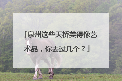 泉州这些天桥美得像艺术品，你去过几个？