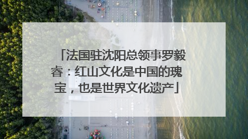 法国驻沈阳总领事罗毅睿：红山文化是中国的瑰宝，也是世界文化遗产