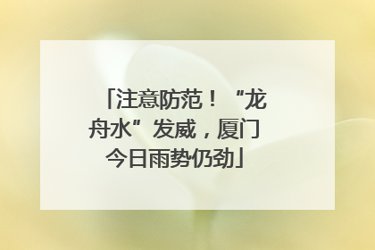 注意防范！“龙舟水”发威，厦门今日雨势仍劲