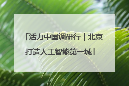 活力中国调研行｜北京打造人工智能第一城