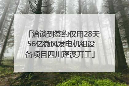 洽谈到签约仅用28天 56亿微风发电机组设备项目四川蓬溪开工