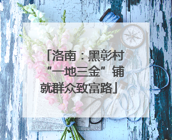 洛南：黑彰村“一地三金”铺就群众致富路