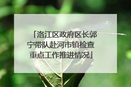 洛江区政府区长郭宁带队赴河市镇检查重点工作推进情况