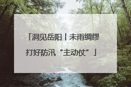 洞见岳阳丨未雨绸缪 打好防汛“主动仗”