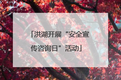 洪湖开展“安全宣传咨询日”活动