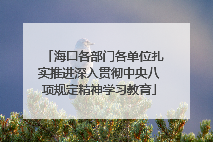 海口各部门各单位扎实推进深入贯彻中央八项规定精神学习教育