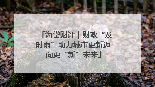 海岱财评｜财政“及时雨”助力城市更新迈向更“新”未来