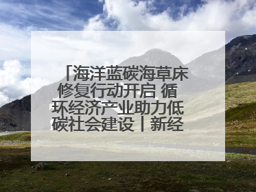 海洋蓝碳海草床修复行动开启 循环经济产业助力低碳社会建设丨新经济观察