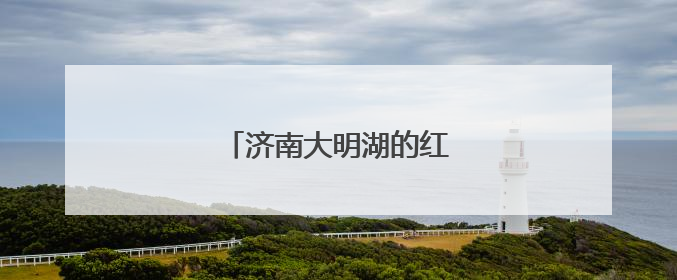 济南大明湖的红尾伯劳登枝高歌