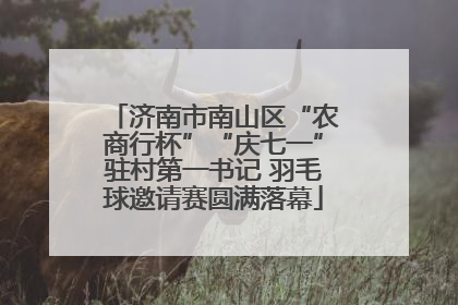 济南市南山区“农商行杯”“庆七一”驻村第一书记 羽毛球邀请赛圆满落幕