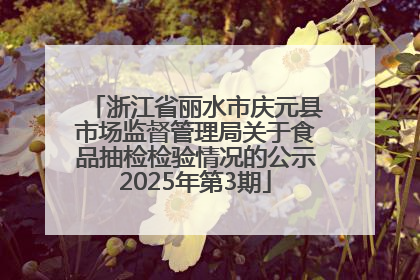 浙江省丽水市庆元县市场监督管理局关于食品抽检检验情况的公示2025年第3期