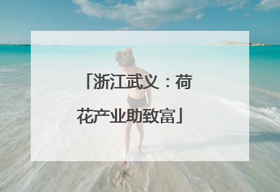 浙江武义：荷花产业助致富
