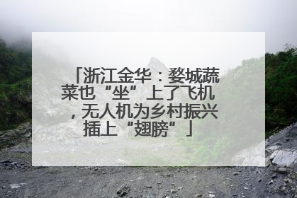 浙江金华：婺城蔬菜也“坐”上了飞机，无人机为乡村振兴插上“翅膀”