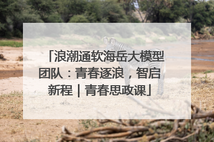 浪潮通软海岳大模型团队：青春逐浪，智启新程｜青春思政课
