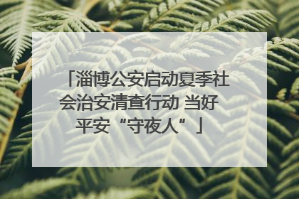 淄博公安启动夏季社会治安清查行动 当好平安“守夜人”