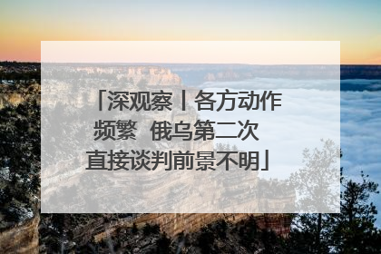 深观察丨各方动作频繁  俄乌第二次直接谈判前景不明