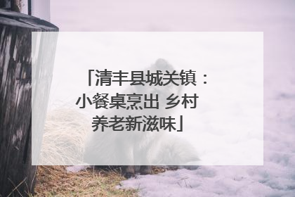 清丰县城关镇：小餐桌烹出 乡村养老新滋味