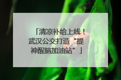 清凉补给上线！武汉公交打造“提神醒脑加油站”