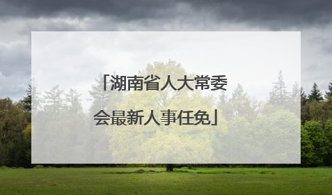 湖南省人大常委会最新人事任免