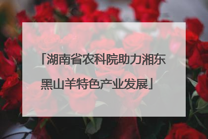 湖南省农科院助力湘东黑山羊特色产业发展