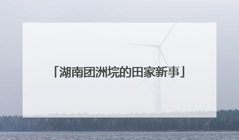 湖南团洲垸的田家新事